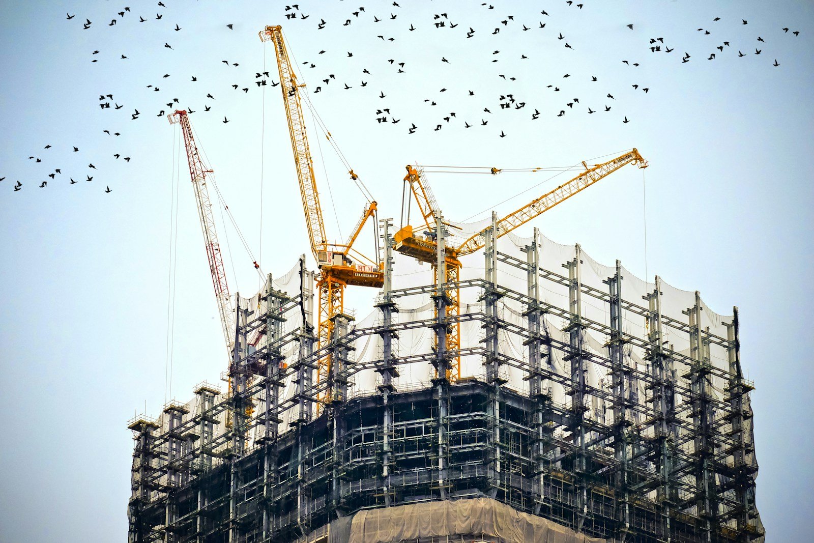 Yellow tower cranes over a building under construction
