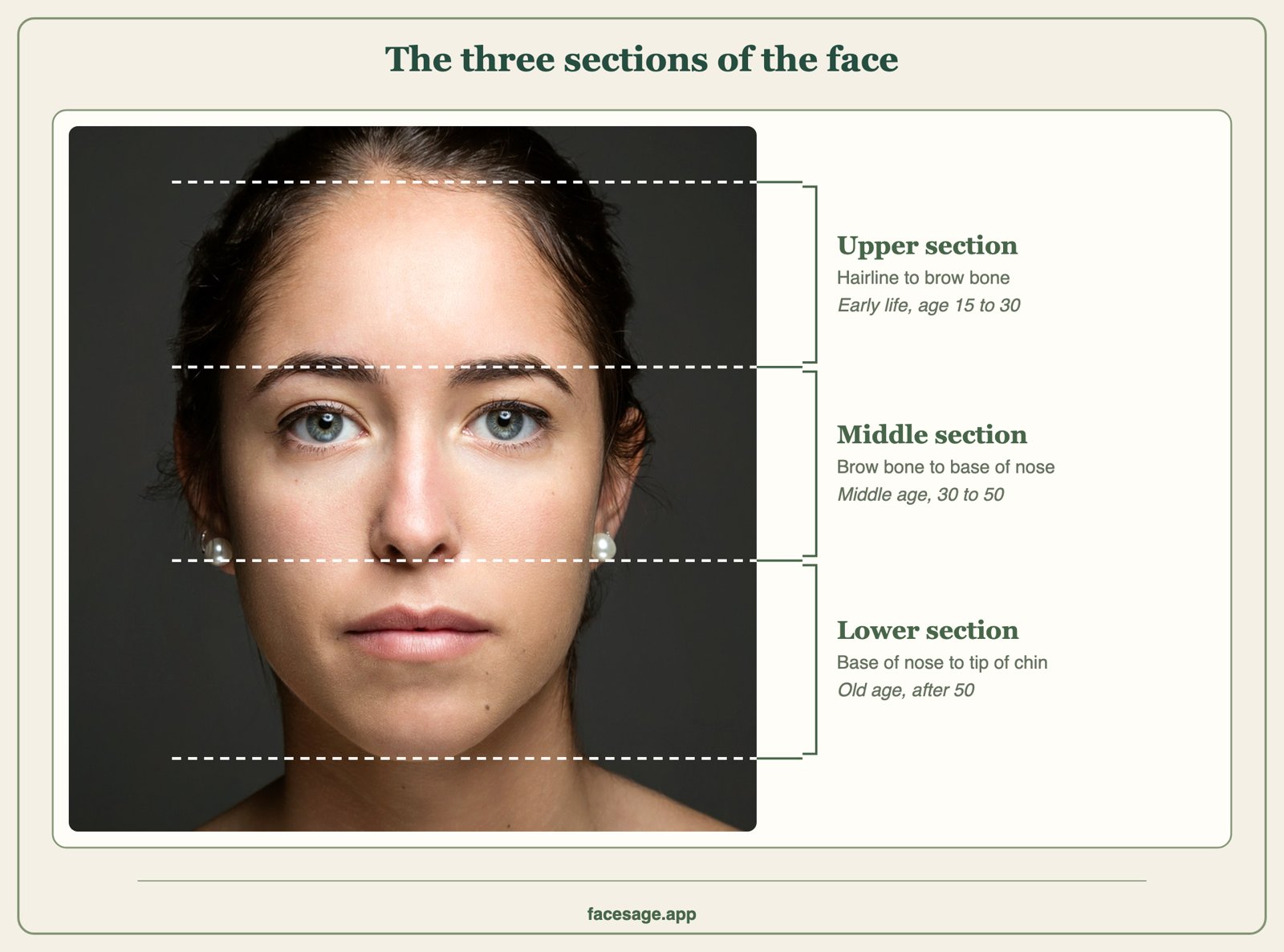 Front-view face divided by dashed lines into upper, middle and lower sections