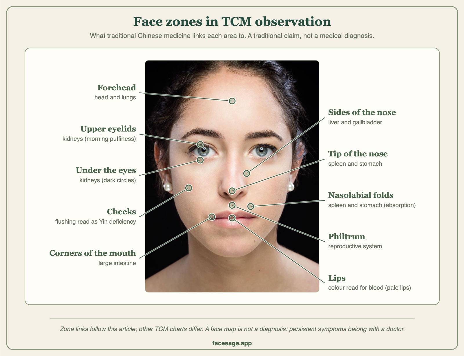 Photo of a woman's face annotated with the organs traditional Chinese medicine links to the forehead, eyes, cheeks, nose, philtrum and mouth