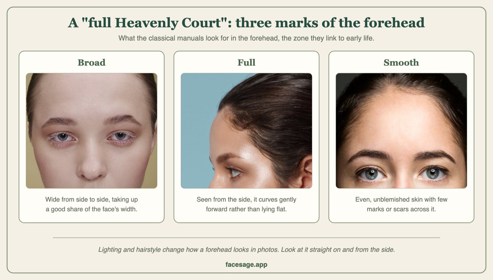 Three real forehead close-ups showing a broad, a gently rounded and a smooth forehead