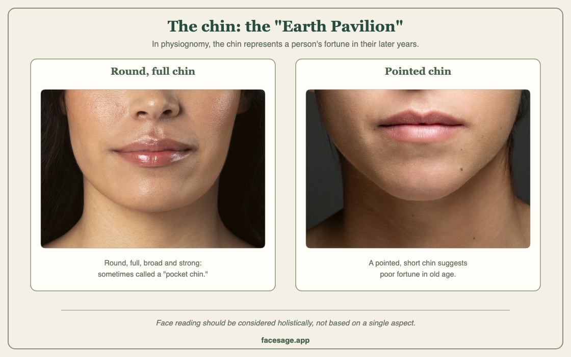Two lower-face close-ups comparing a round, full chin and a pointed chin