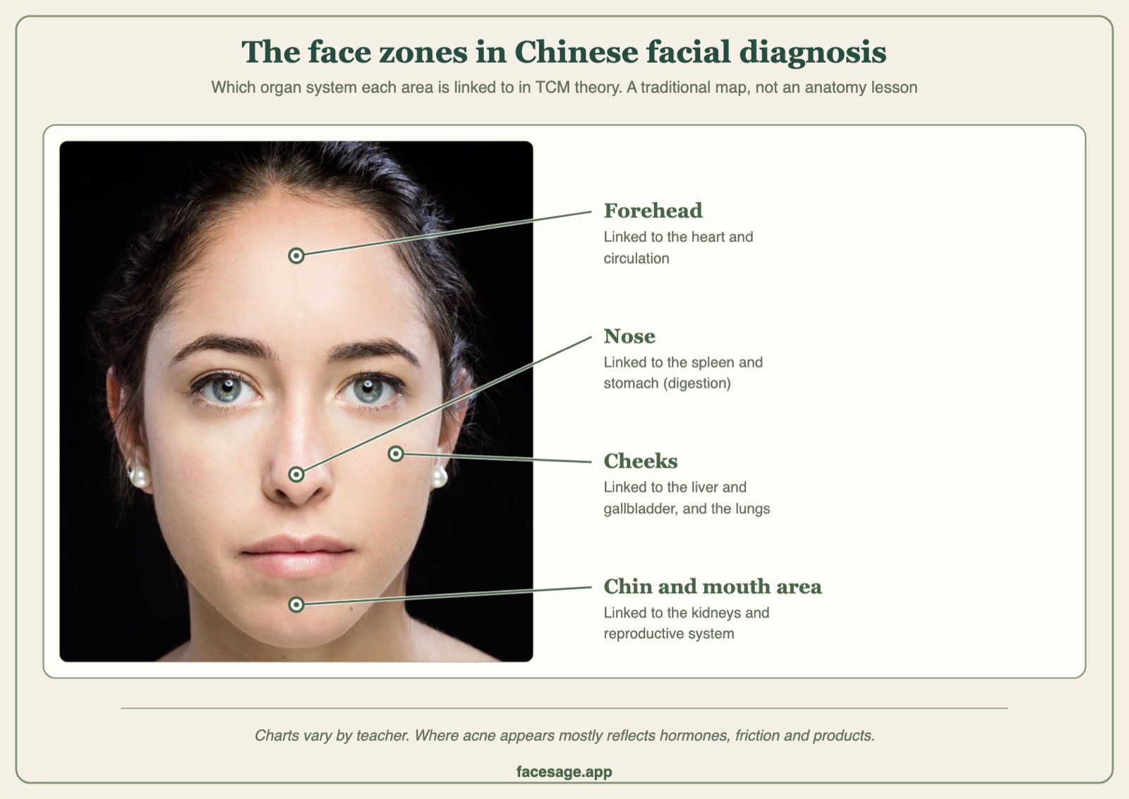 Real front-view face with the forehead, nose, cheeks and chin labelled with the organ systems TCM links them to