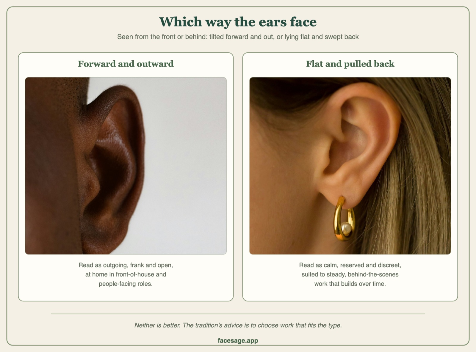 Two real ear close-ups: one standing out from the head, one lying flat against it