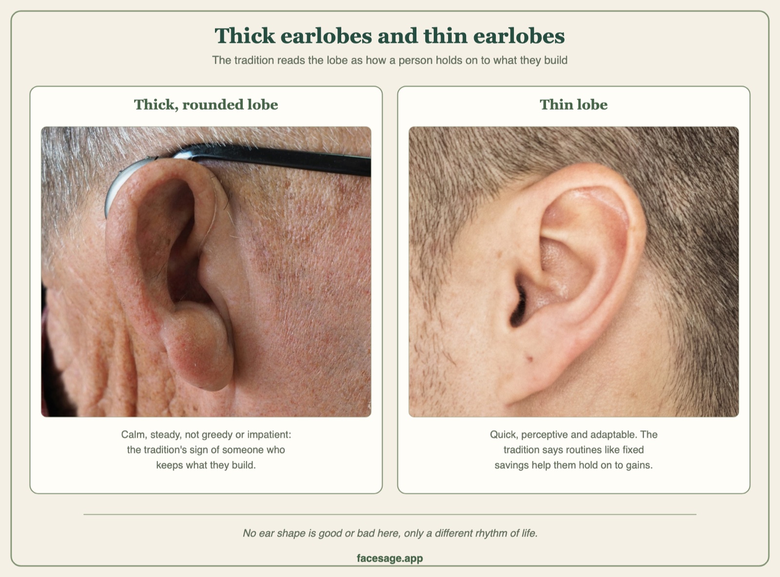 Two real ear close-ups comparing a thick, rounded earlobe with a thin earlobe