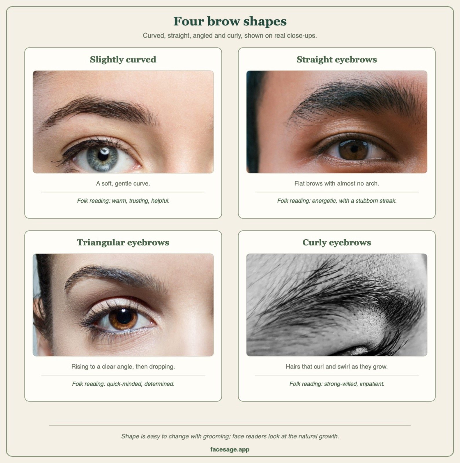 Four real brow close-ups showing slightly curved, straight, triangular and curly eyebrows