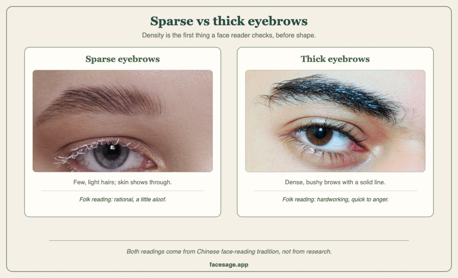 Two brow close-ups comparing a sparse eyebrow with a thick eyebrow