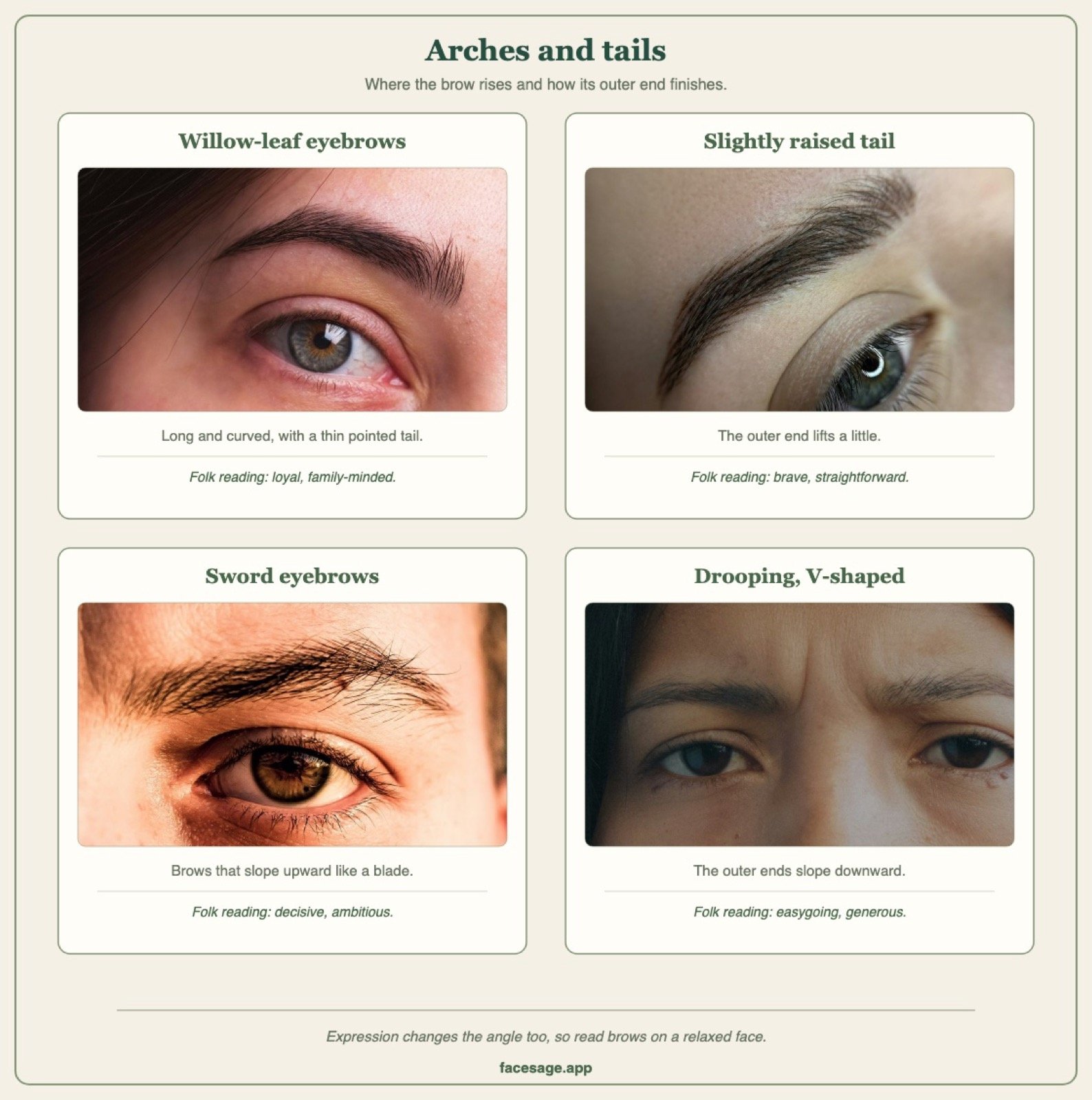 Four real brow close-ups showing willow-leaf, raised-tail, sword and drooping V-shaped eyebrows