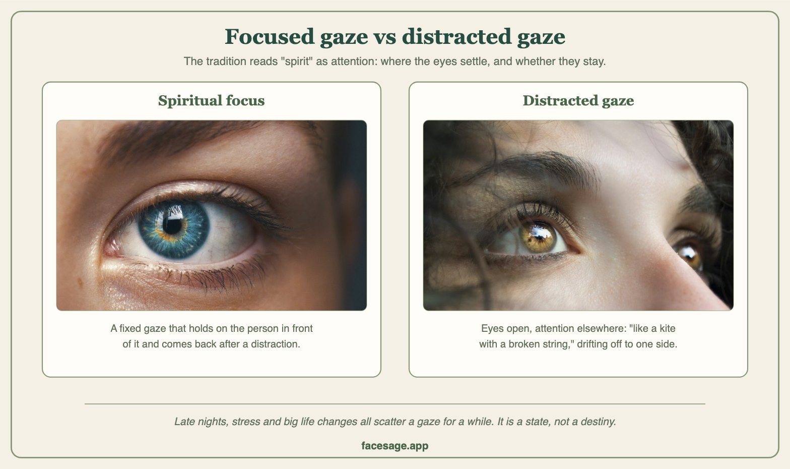 Two real eye close-ups comparing a focused, steady gaze with a distracted, drifting gaze