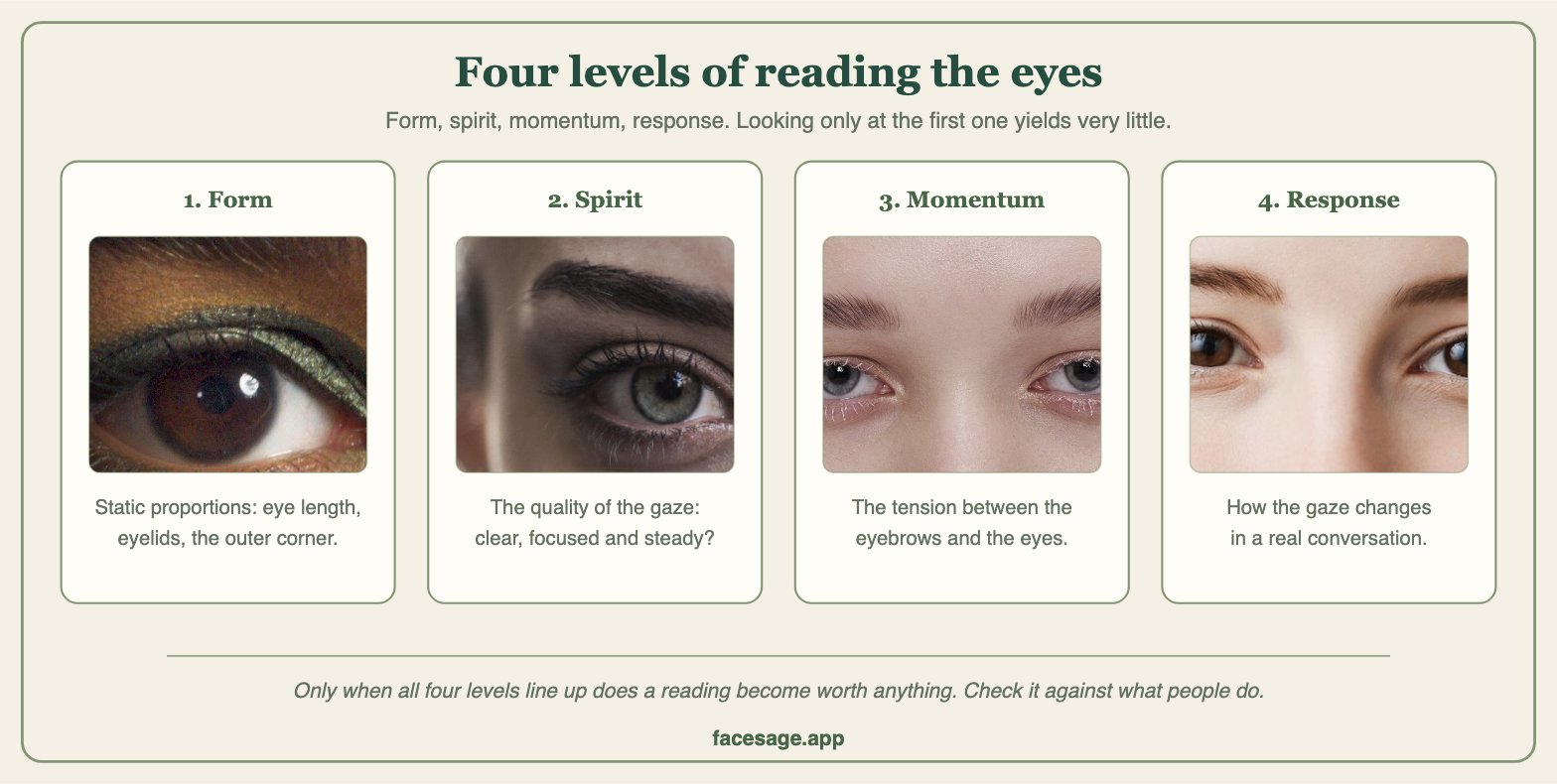 Four real eye close-ups illustrating form, spirit, momentum and response