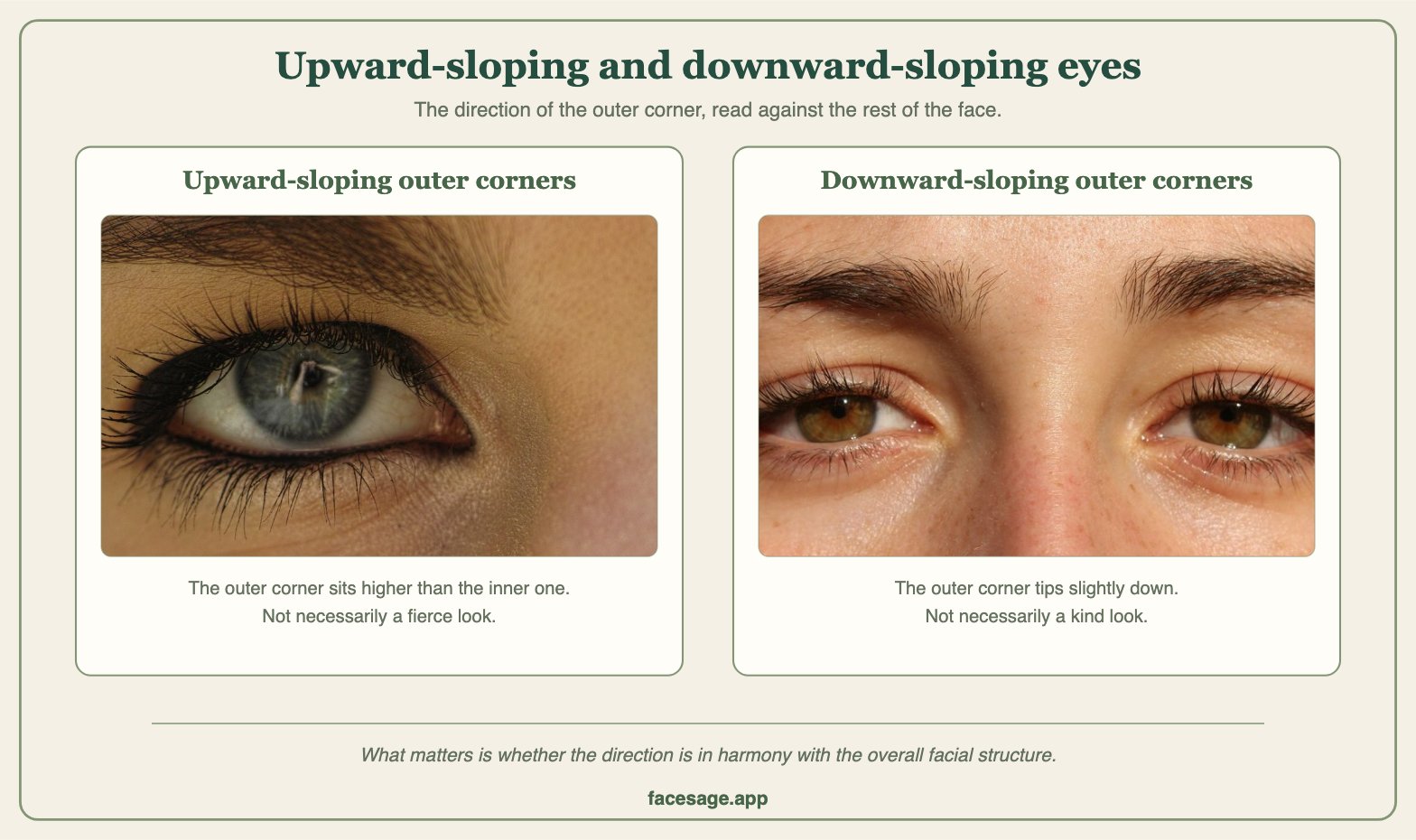 Two real eye close-ups comparing upward-sloping and downward-sloping outer corners