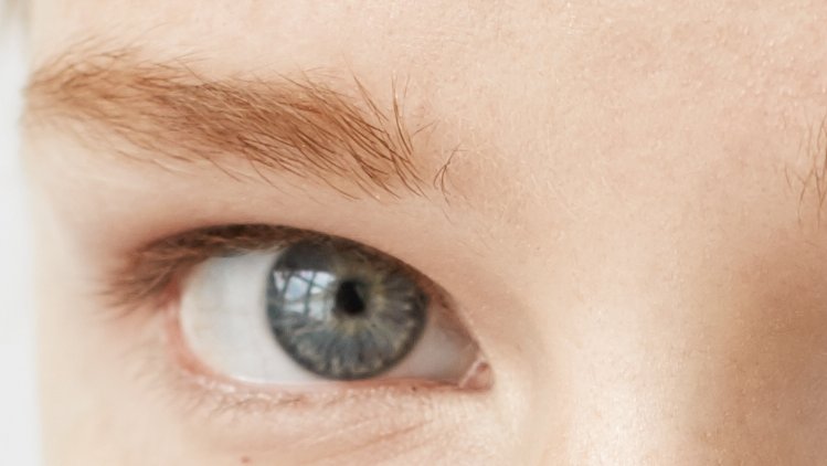 Close-up of a single clear eye and eyebrow