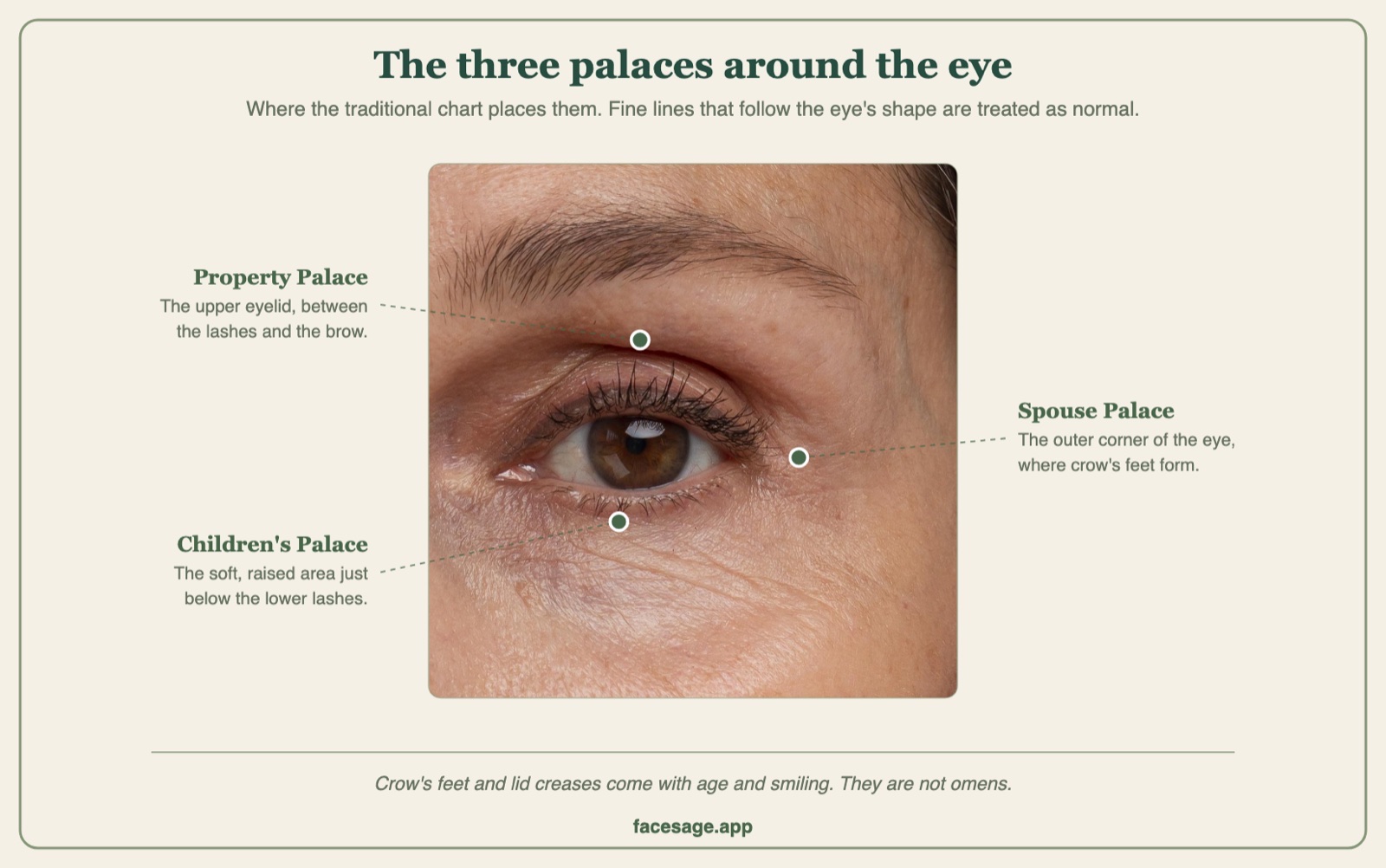 Close-up of one eye with the Property, Spouse and Children's palaces marked