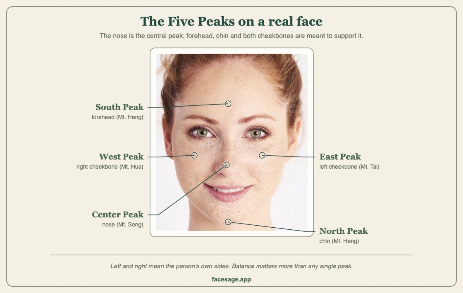 A smiling woman's face with the forehead, cheekbones, nose and chin labelled as the Five Peaks
