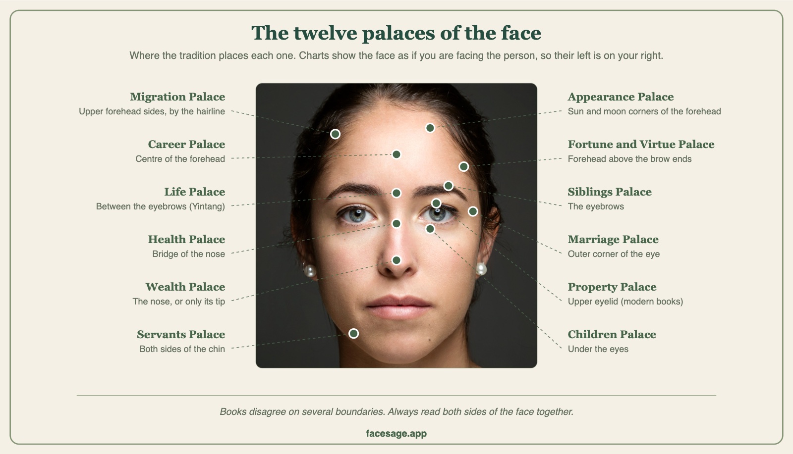 Real face marked with the twelve palaces of Chinese face reading