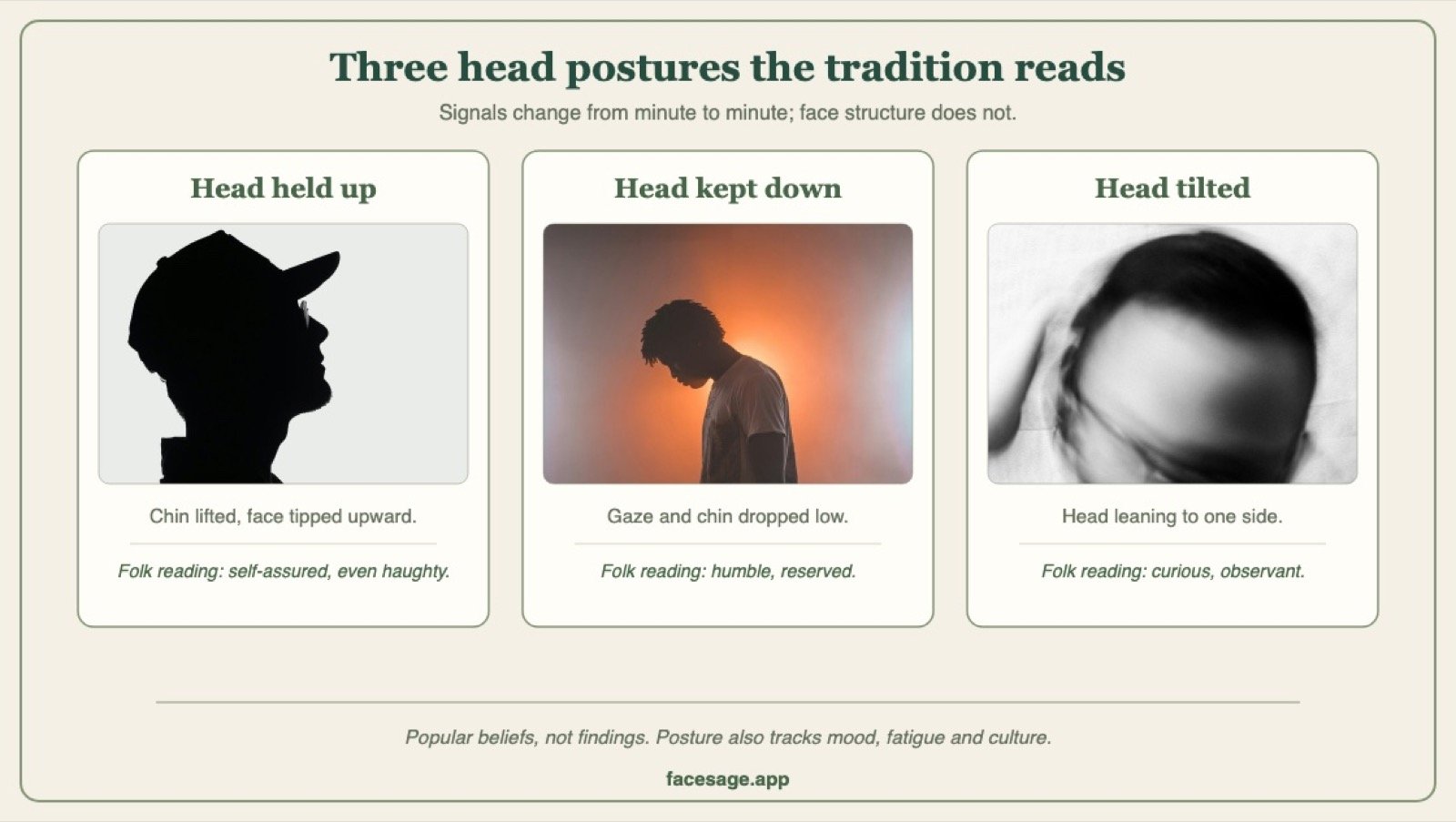 Three photos showing a head held up, a head bowed down, and a head tilted to one side