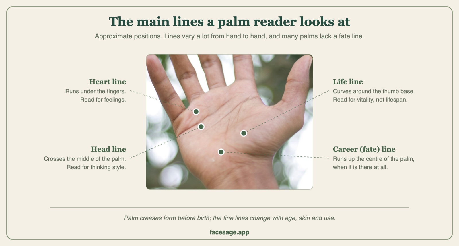 Real open palm marked with the heart, head, life and fate lines