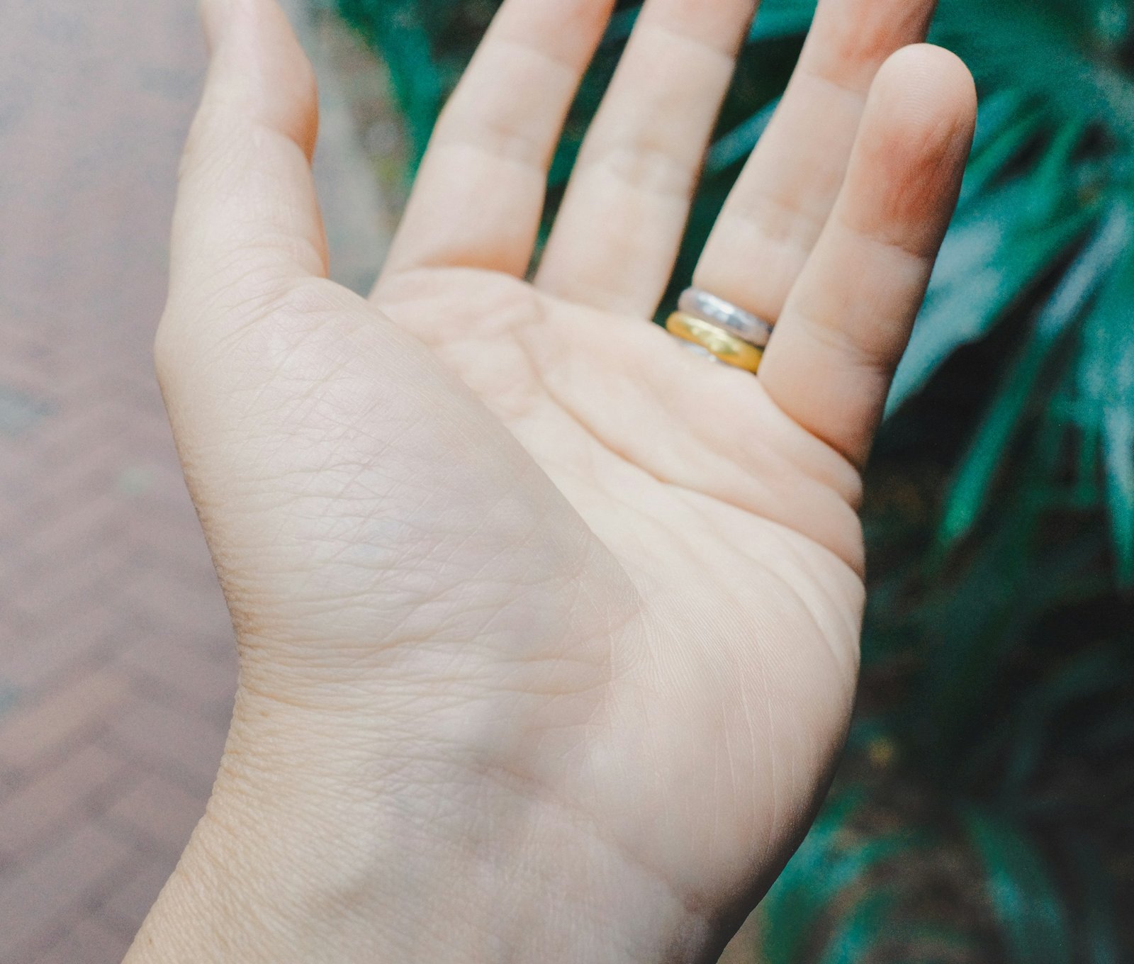 Close-up of an open palm with its lines and creases