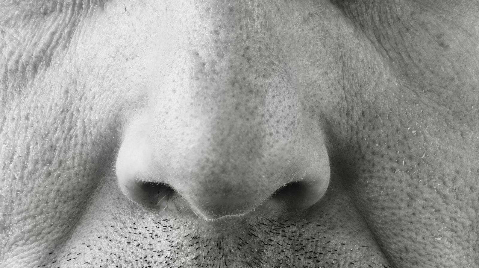 Close-up of a nose with creases following the curve of the nasal wings