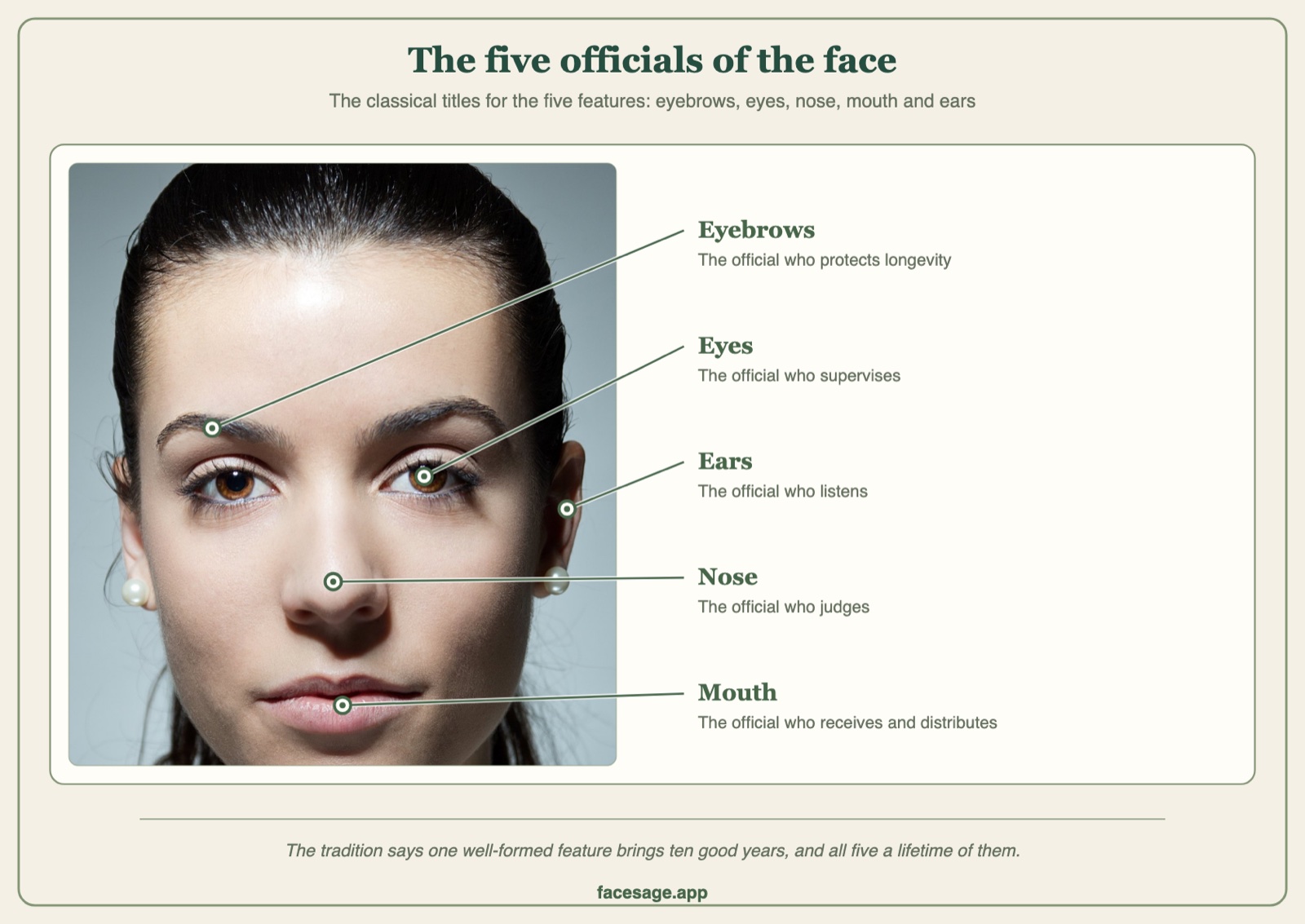 Real face with the eyebrows, eyes, ears, nose and mouth labelled with their classical official titles