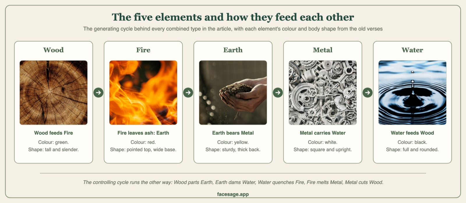 Photos of wood, fire, soil, metal and water linked by arrows in the generating cycle