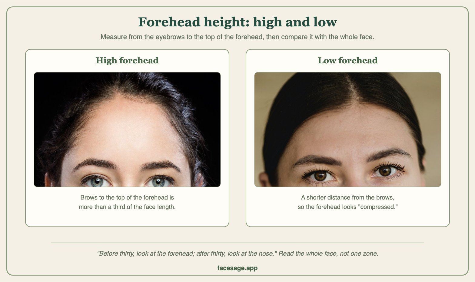 Two real forehead close-ups comparing a high and a low forehead
