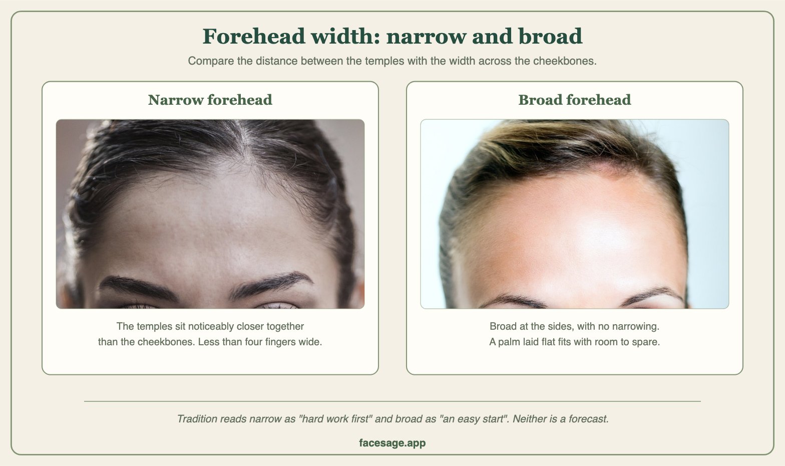 Two real forehead close-ups comparing a narrow and a broad forehead
