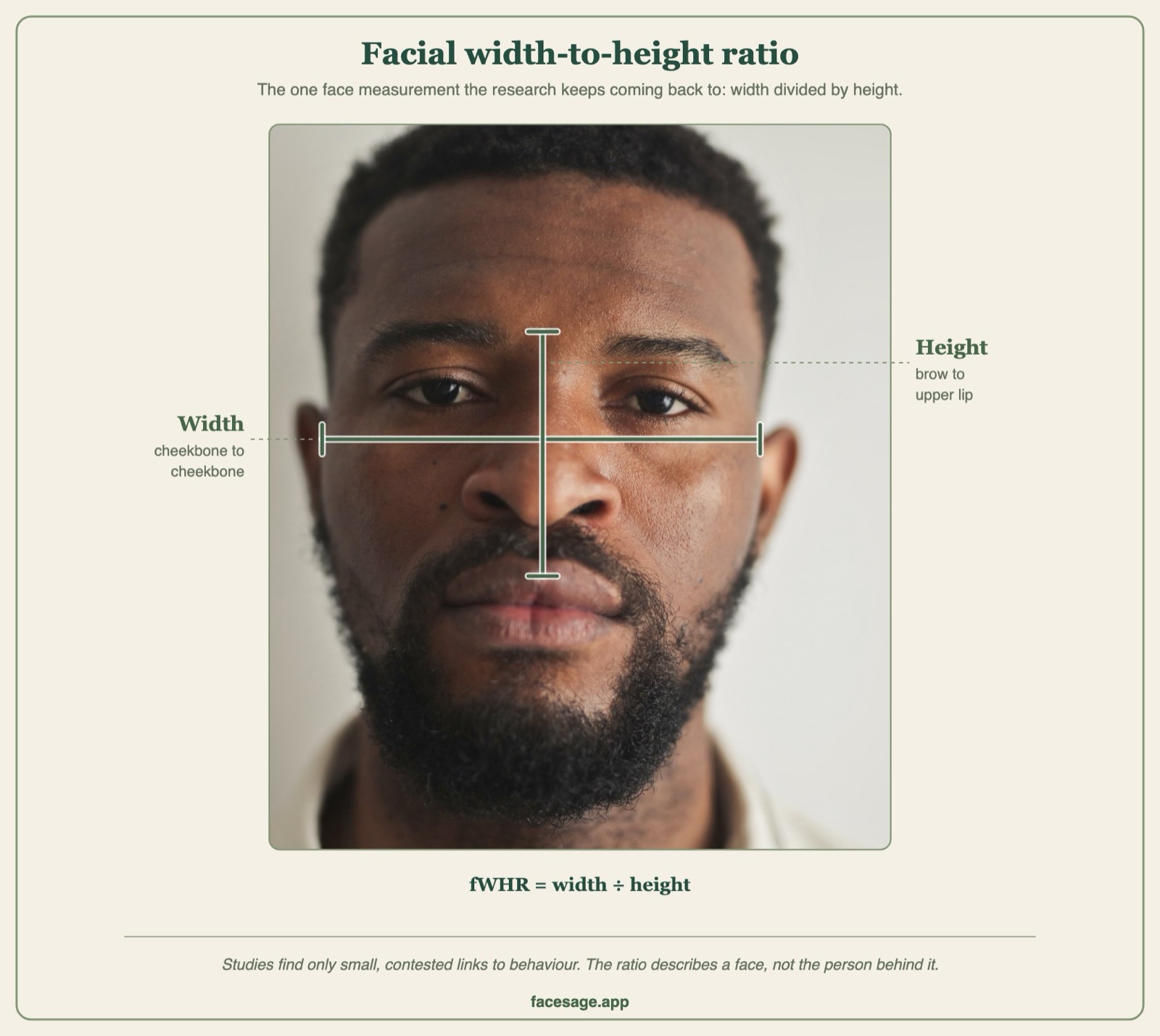 Real face annotated with the width and height lines used to measure the facial width-to-height ratio