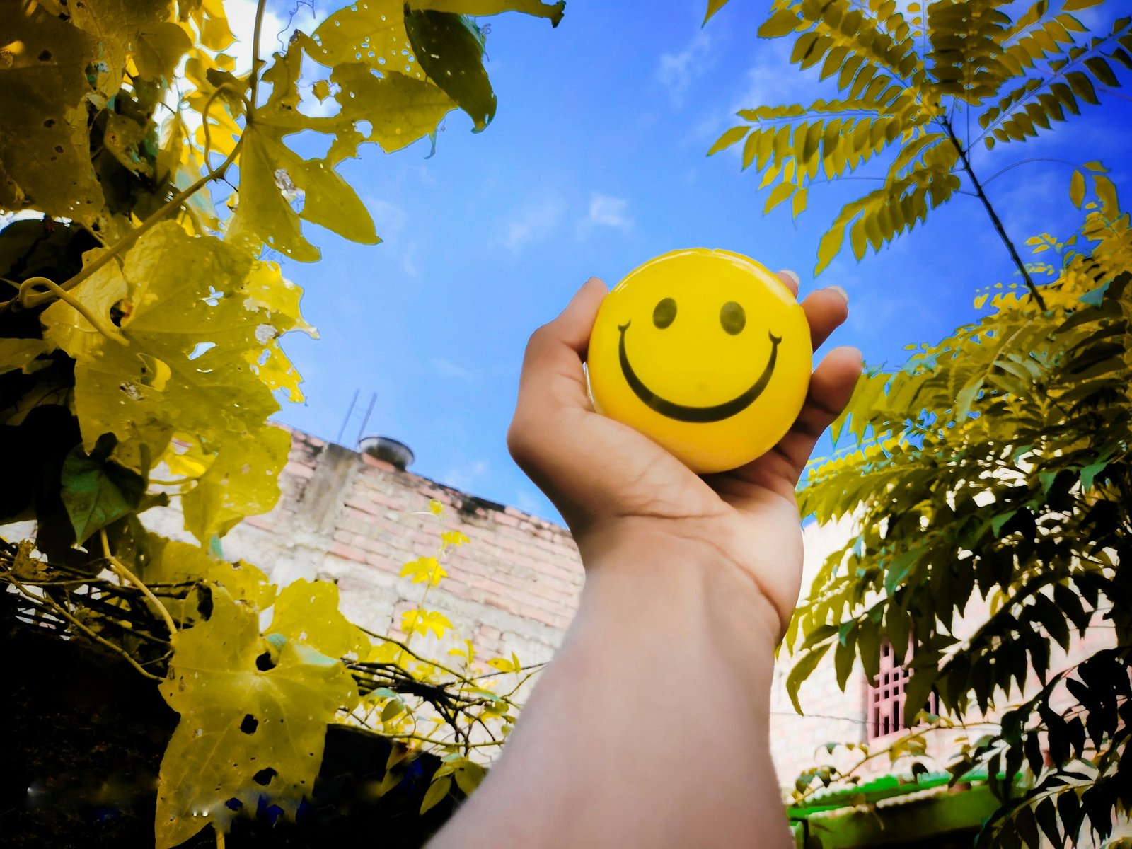 Hand holding up a yellow smiley-face ball