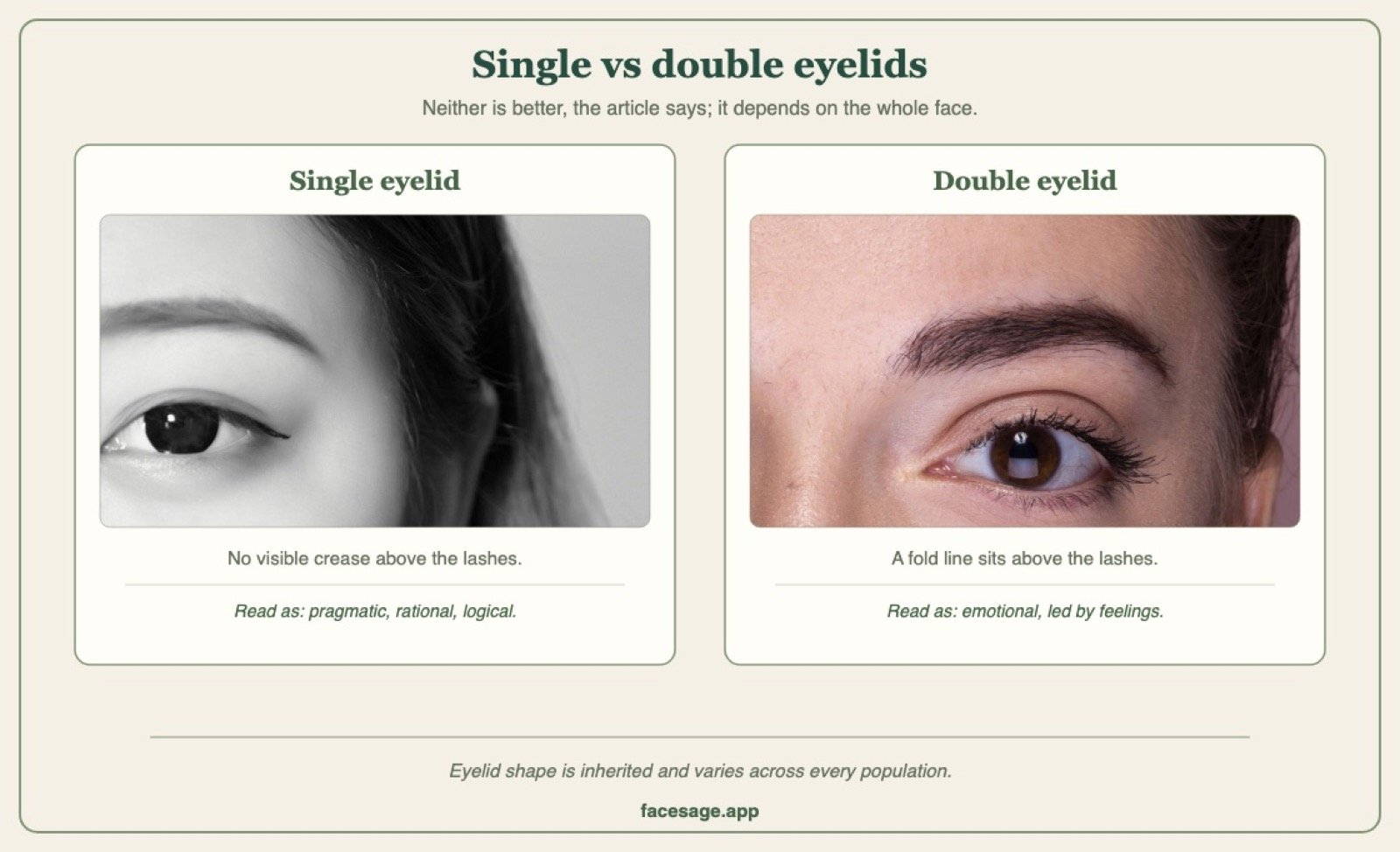 Two eye close-ups comparing a single eyelid with a double eyelid