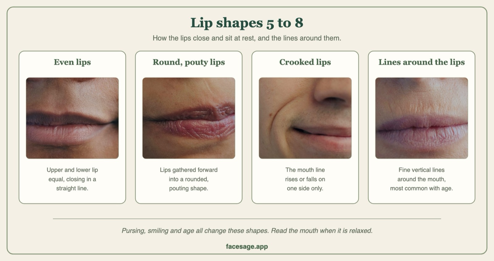 Four real mouth close-ups: even lips, pouty lips, crooked lips and lines around the lips