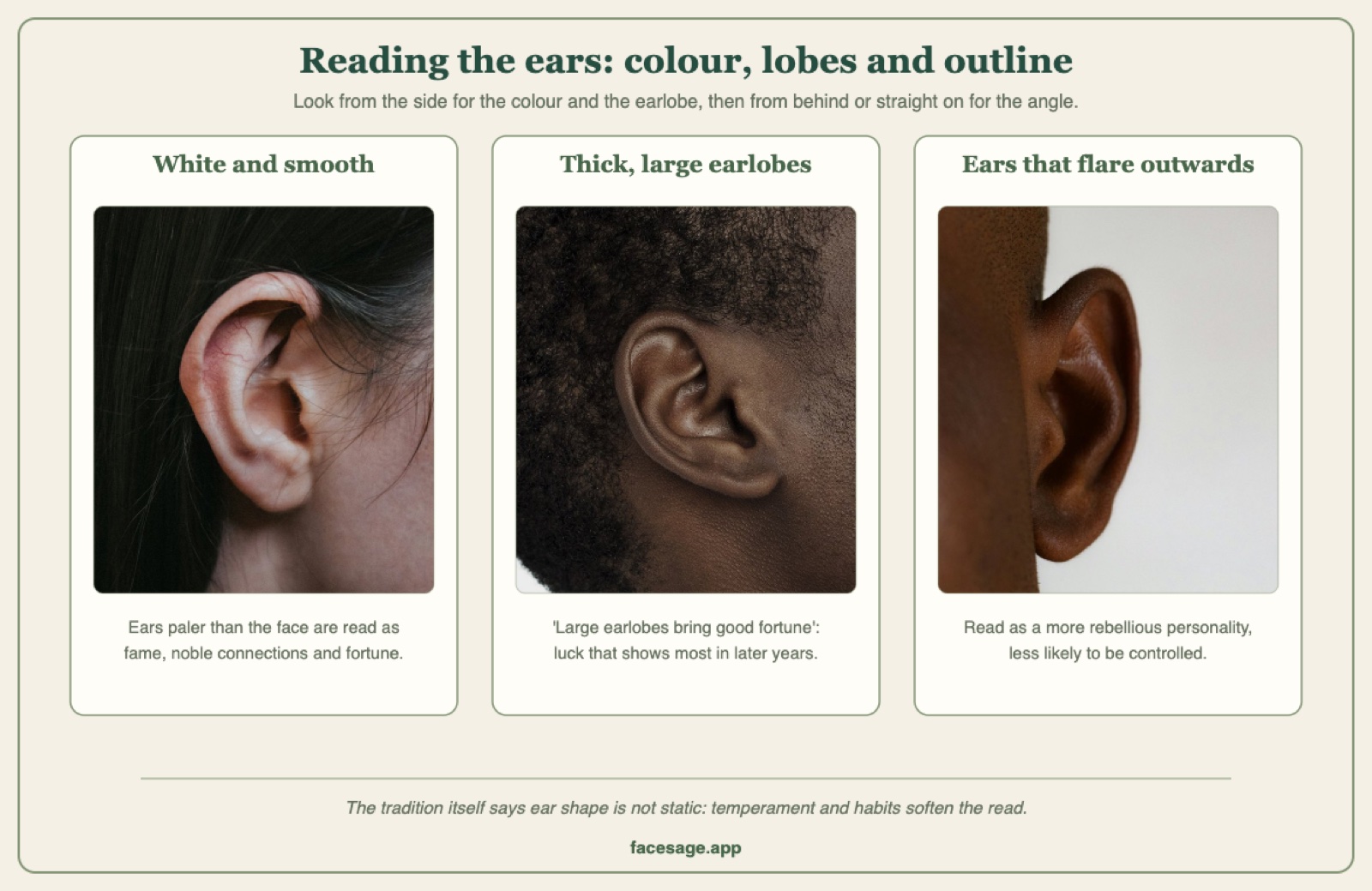 Three real ear close-ups showing a pale smooth ear, a thick earlobe and an ear that flares outward from the head