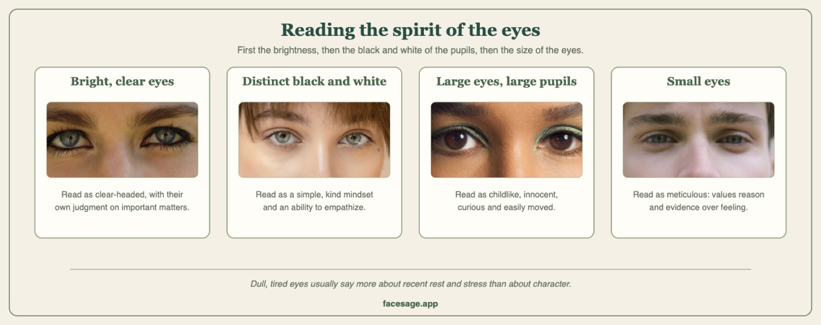 Four real eye close-ups showing bright clear eyes, distinct black and white, large dark pupils and small eyes
