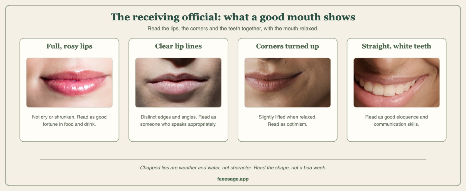 Four real mouth close-ups showing full rosy lips, clear lip lines, upturned corners and straight white teeth