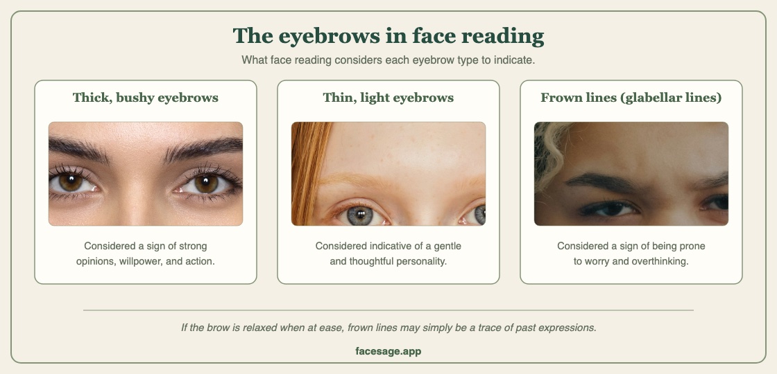 Three eyebrow close-ups: thick, bushy brows, thin, light brows, and frown lines between the brows