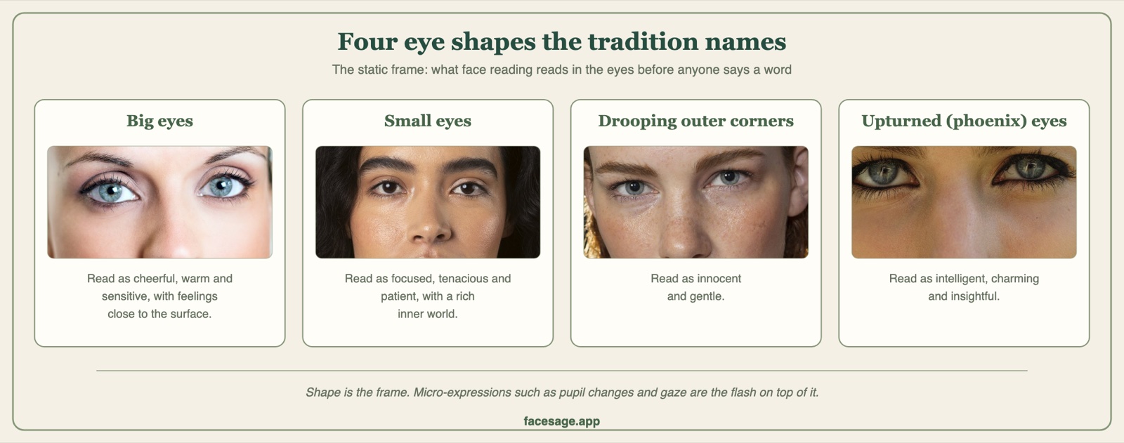Four real eye close-ups: big eyes, small eyes, drooping outer corners and upturned eyes