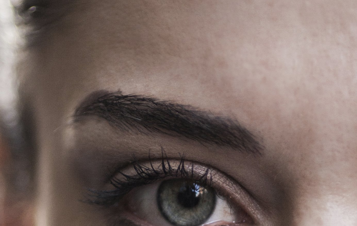Close-up of one eyebrow from the head to the tail