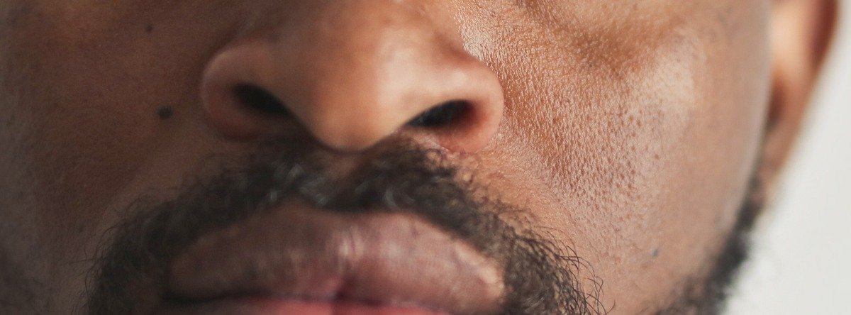 Close-up of the tip of a nose and the nostrils
