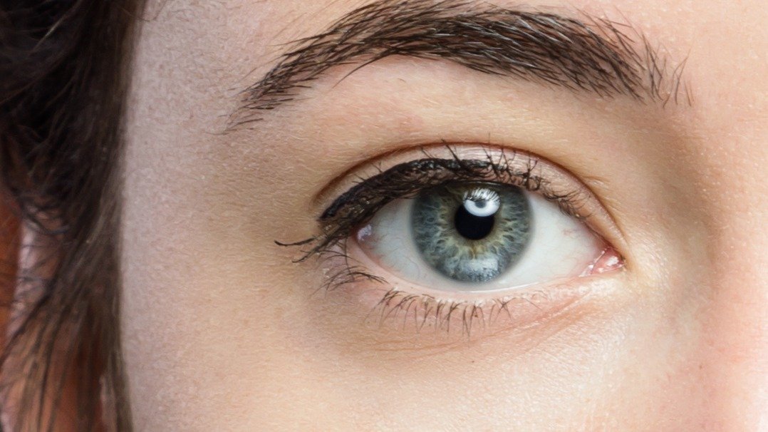 Close-up of the outer corner of an eye