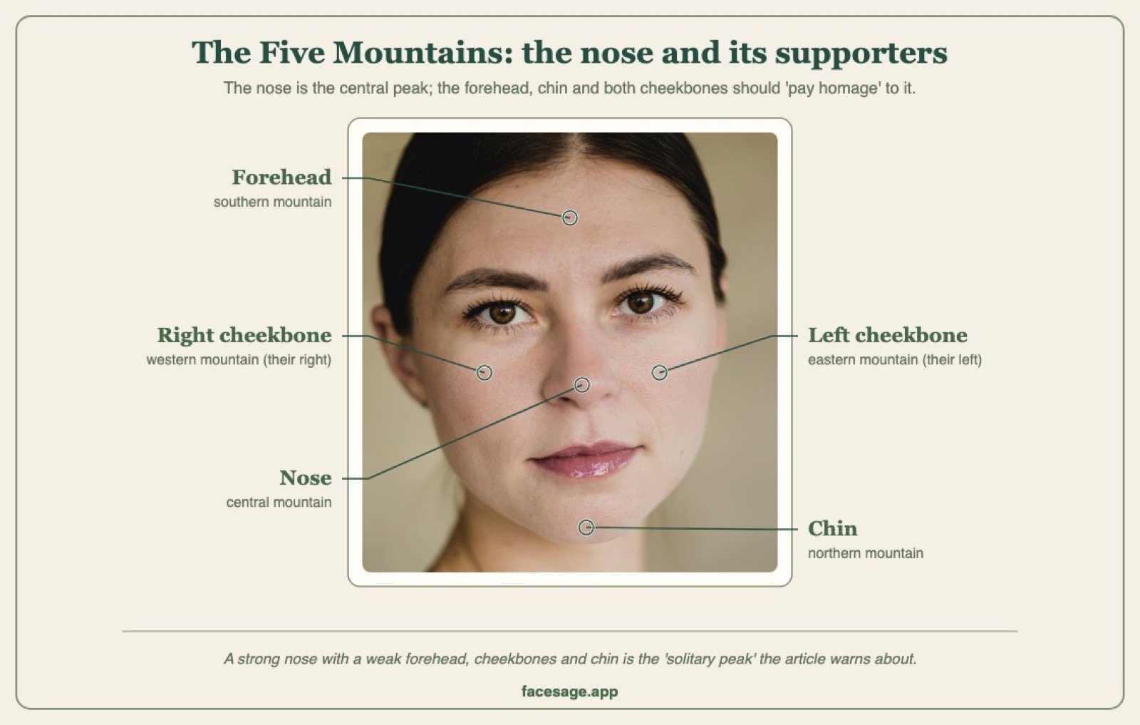 Front view of a woman's face with the forehead, cheekbones, nose and chin labelled as the Five Mountains