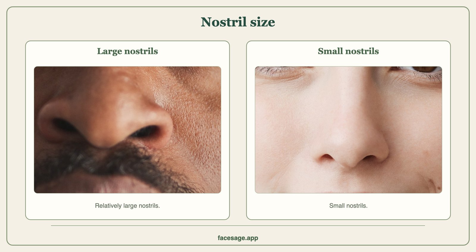 Two nose close-ups, one with wide open nostrils and one with small narrow nostrils