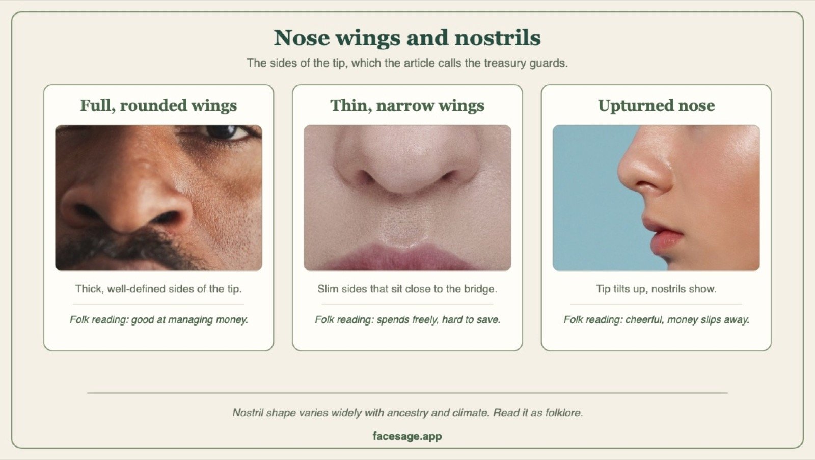 Three nose close-ups comparing full nose wings, thin nose wings and an upturned nose