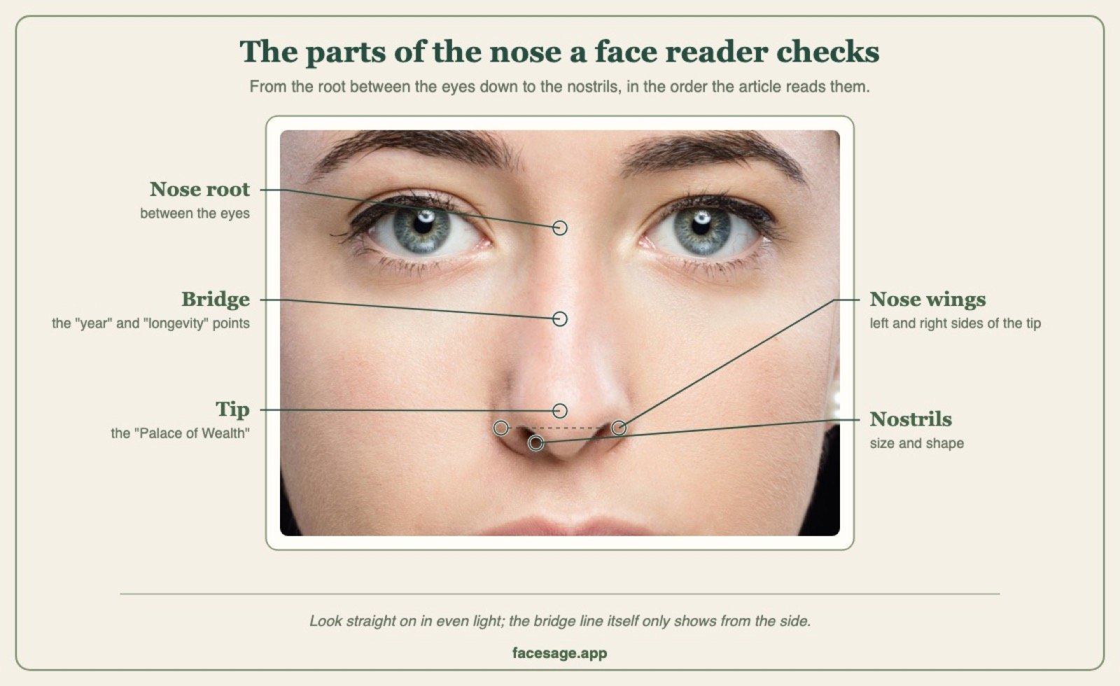 Front view of a face with the nose root, bridge, tip, nose wings and nostrils labelled