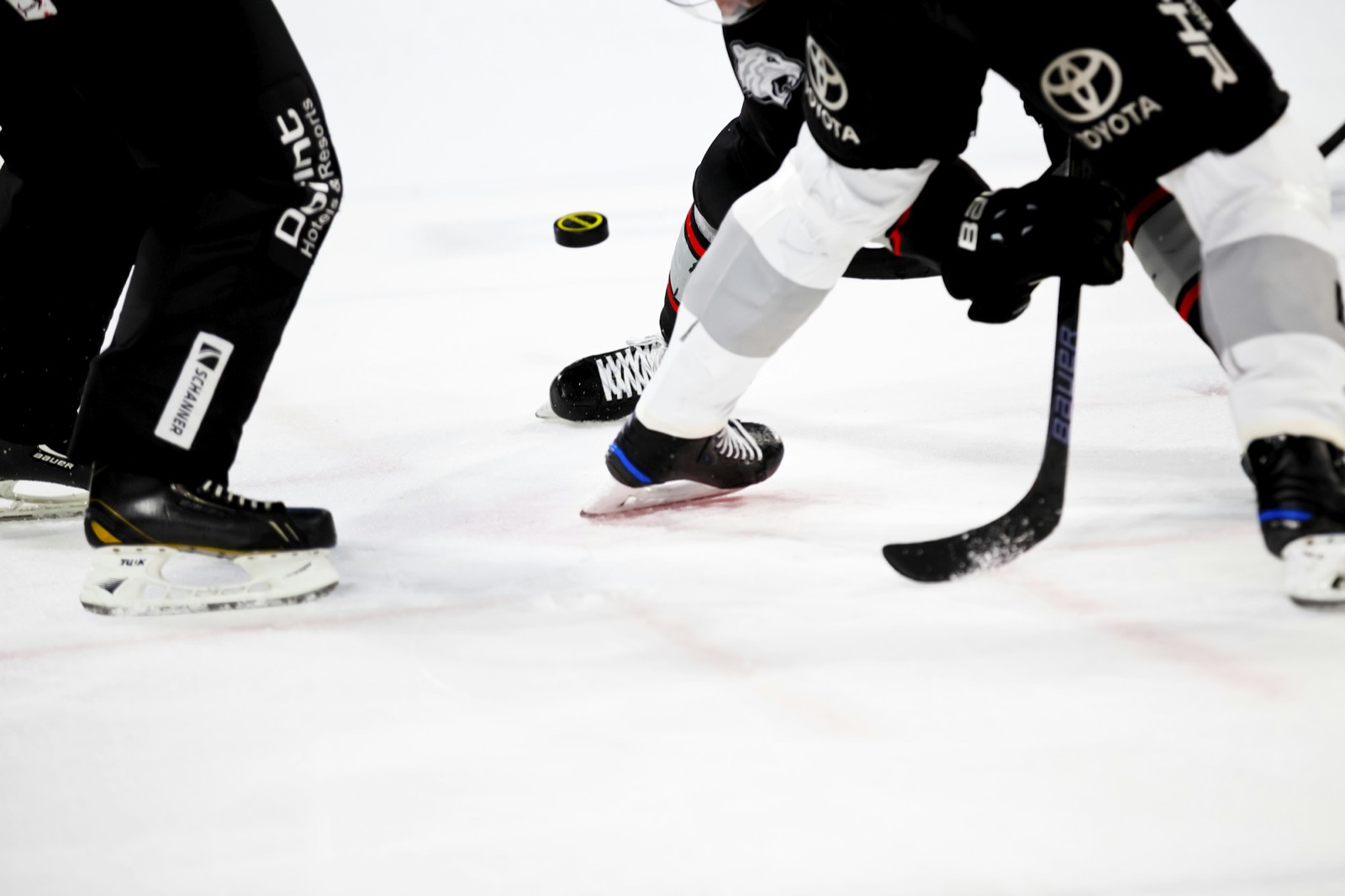 Hockey players' skates and sticks battling for the puck on the ice