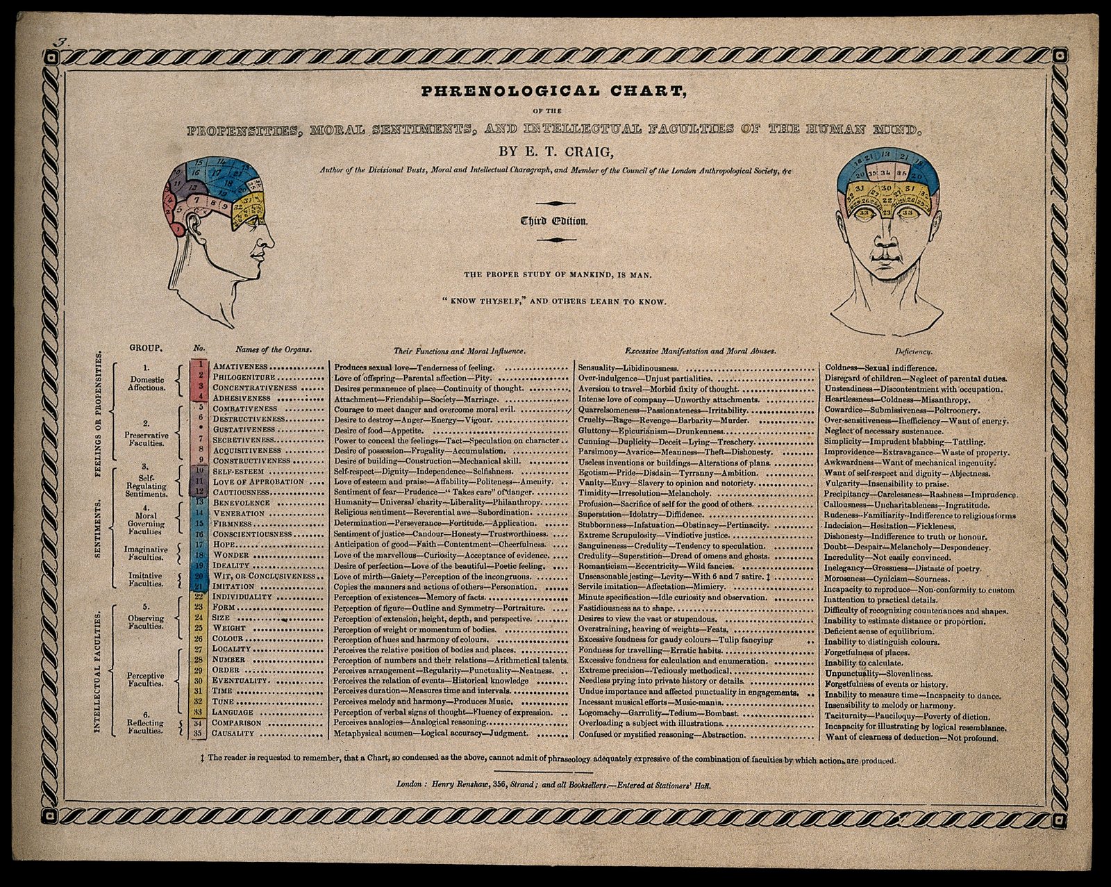 Victorian phrenology chart of heads divided into numbered faculties