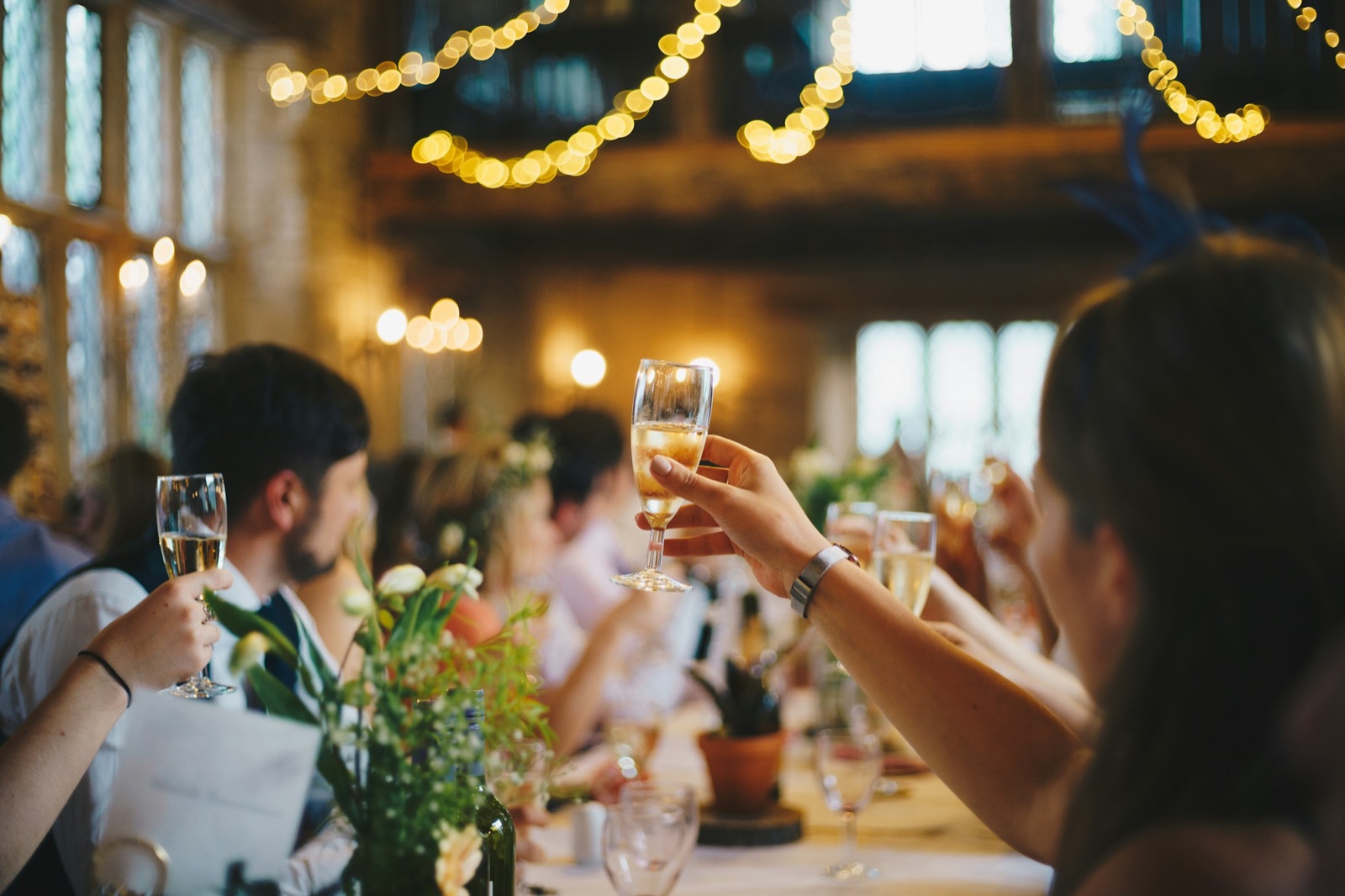 Group of people raising glasses in a toast at a dinner party