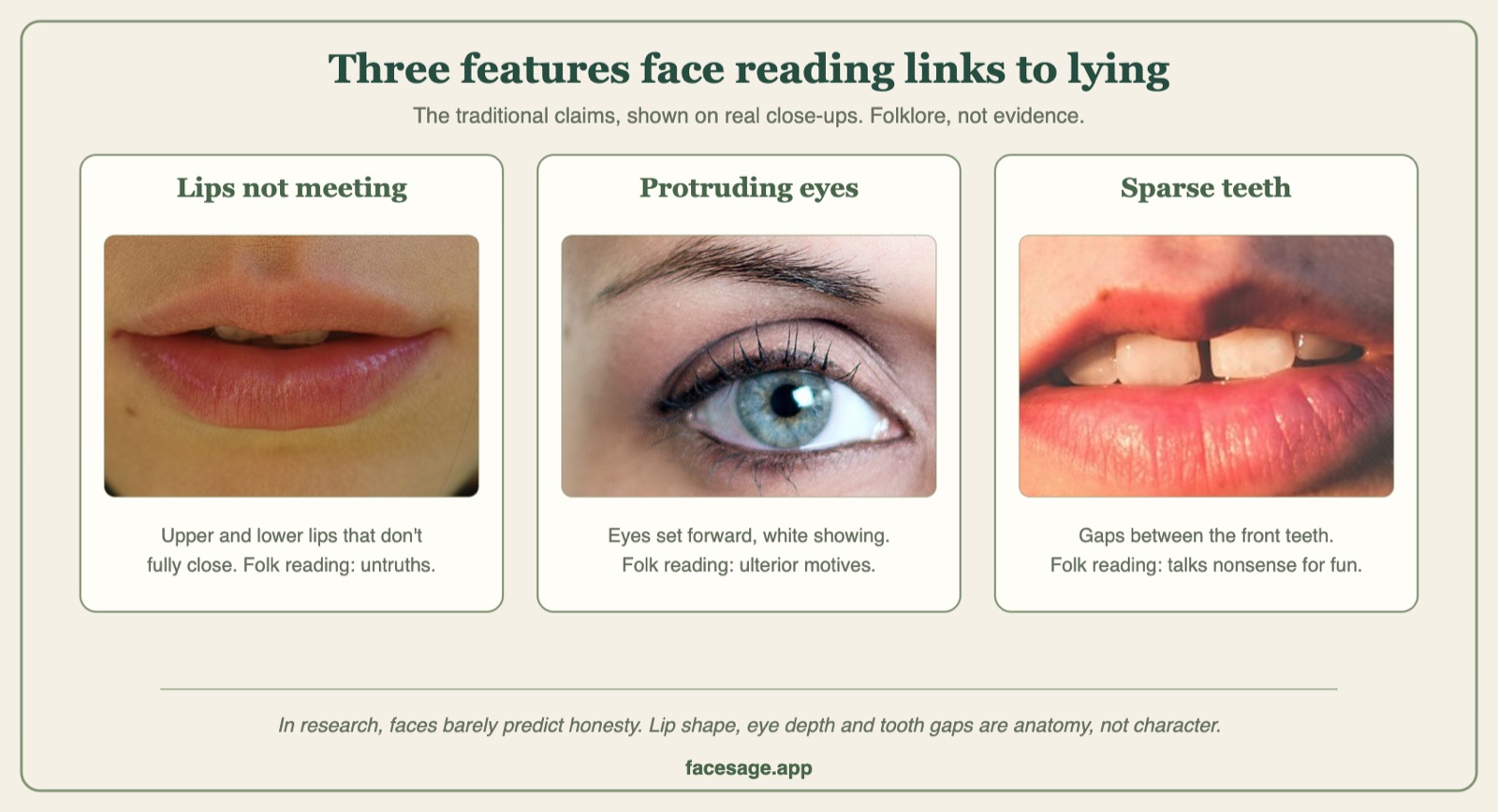 Three close-up photos: slightly parted lips, a wide-open blue eye, and front teeth with a gap, labelled as face-reading folklore about lying