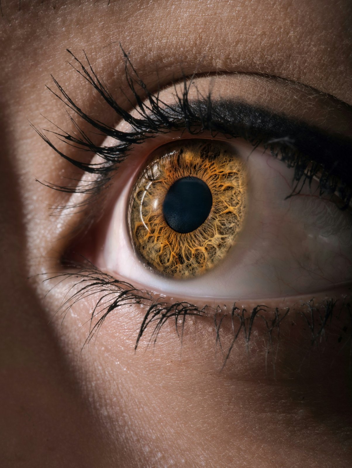 Macro close-up of one eye with white visible below the iris